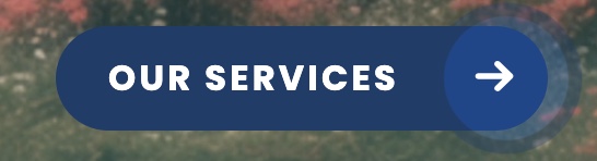 Best practices for micro-animations in web design